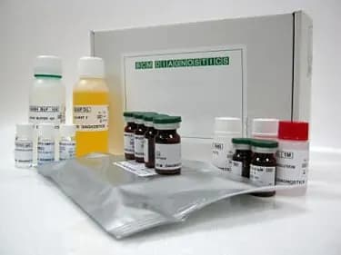 Helicobacter pylori IgG-ИФА — набор для выявления IgG к хеликобактеру